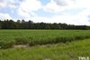 Lot 3 Myrtle Road photo